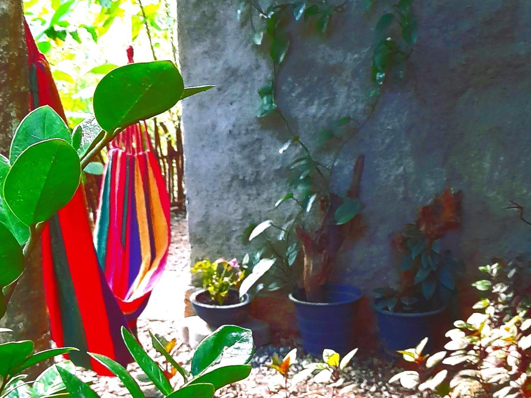 Linu Homestay Dikwella Exterior foto