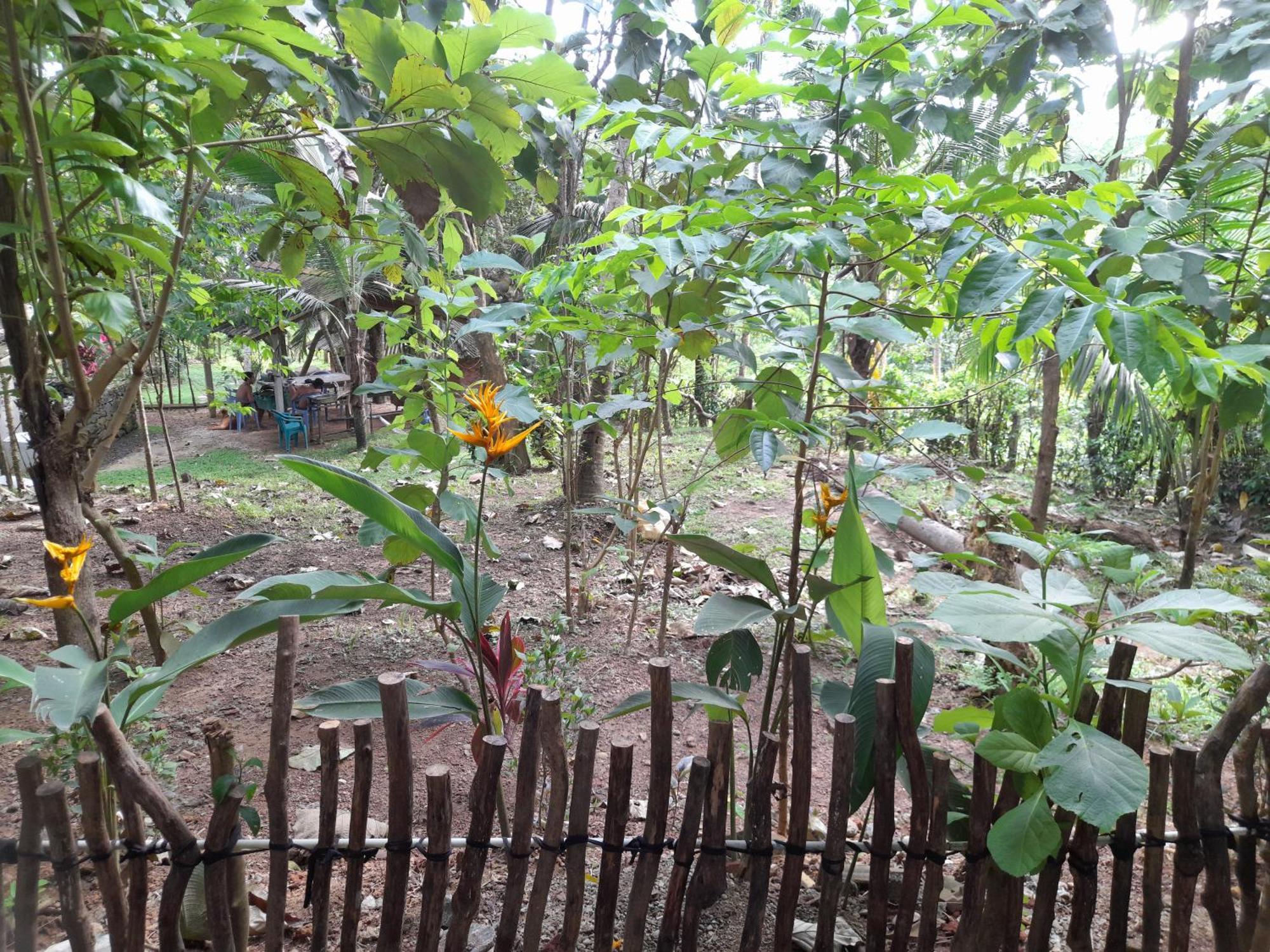 Linu Homestay Dikwella Exterior foto