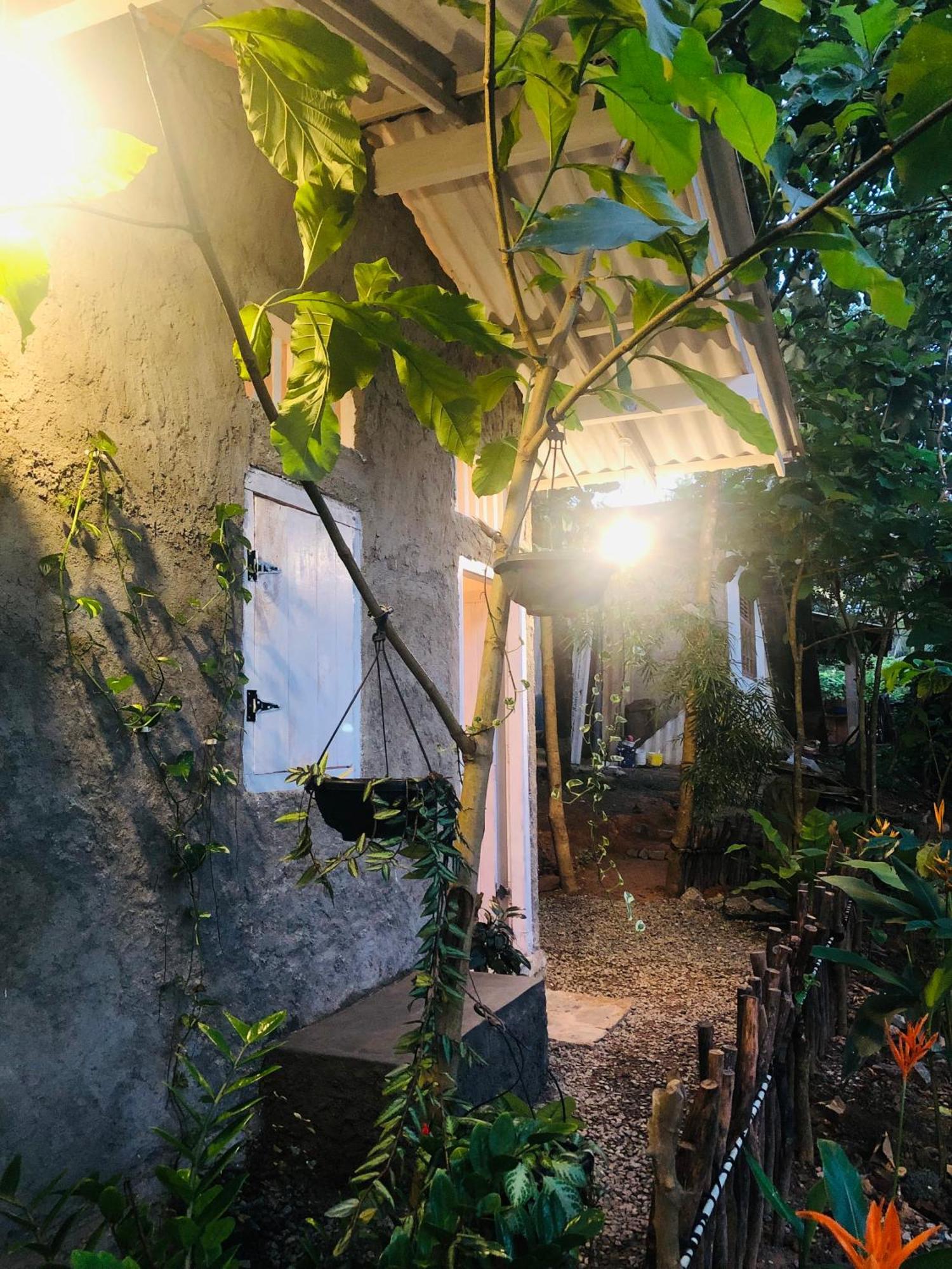 Linu Homestay Dikwella Exterior foto