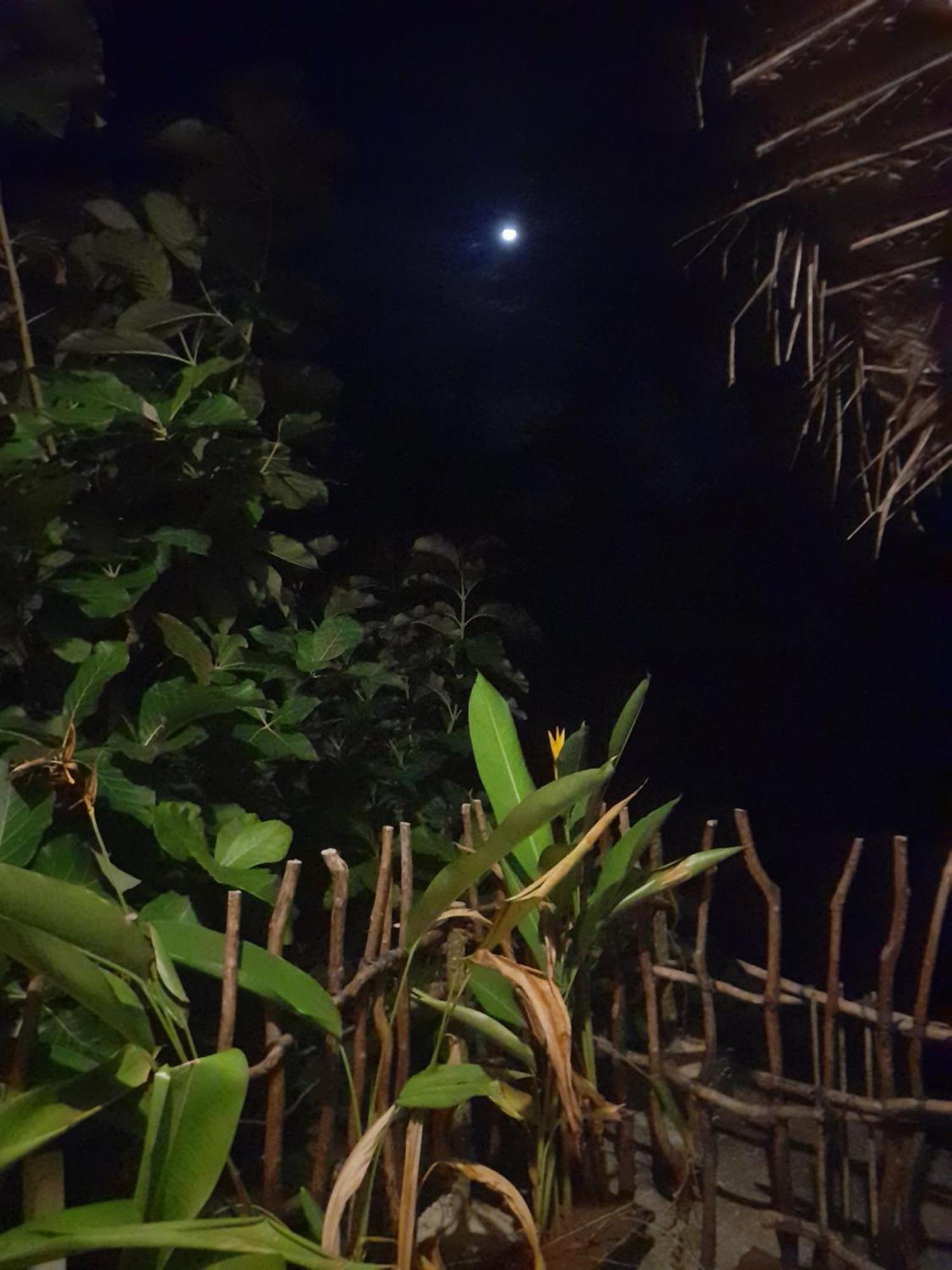 Linu Homestay Dikwella Cameră foto